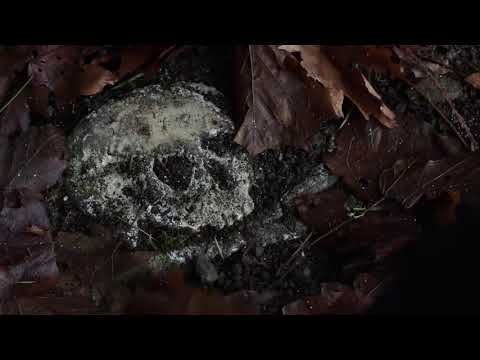 X files season 11 episode 8 promo