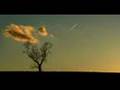 Sick Puppies - Pitiful