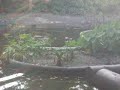 Zoologico Santa Fe 152