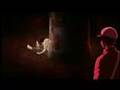 Grave of the Fireflies AMV- If Everyone Cared