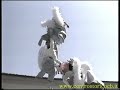 I Misteri di Campobasso I Misteri di Campobasso