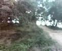 Motards VF(Abilio)3