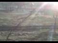 videos de AMSAFEE LPDM & LASPDM