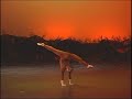 Moving Arts of Tampa Bay Demo Video