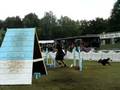 Agility im Gelsenkirchen - European Open
