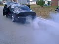 Maxima Enthusiasts sea foam Maxima Enthusiasts sea foam