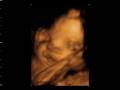 videos de victoria sean