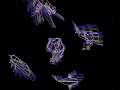 FLASHING CREATURES