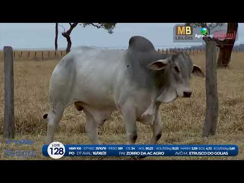 2 DE OLHO NA FAZENDA NELORE BIRIGUI