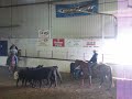 smart little hank, trained cutting, working cow horse, and reining champion. stud service available to outside mares. foals eligible for harvest gold futurity.
