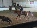 smart little hank, trained cutting, working cow horse, and reining champion. stud service available to outside mares. foals eligible for harvest gold futurity.