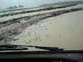 Suzuki Carry