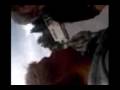 videos de Knut