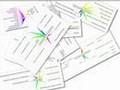 Business Mind Mapping Success Story using NovaMind MindMap S