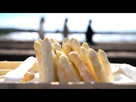 Der erste Spargel ist da: Sehr zart und intensiv aber ...