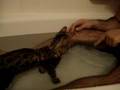 Super-Bath-Time