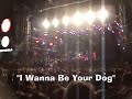 Iggy Pop and Stooges - I Wanna Be Your Dog - SP -