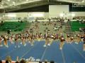 fca gems rubies