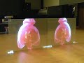 Holo Screen with twin effect