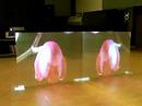 Holo-Screen-with-twi