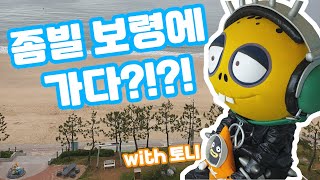 좀비덤 | Zombil in Boryeong? | travel | mud |보령 | 대천해수욕장