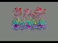 GroEL R-to-R\" transition (side view) GroEL R-to-R\" transition (side view)