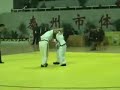 2007 Chinese