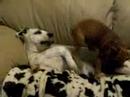 u Play with me more