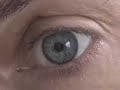 Freddie Mercury BIOPIC-David Bowie audition-\"UNDER PRESSURE\"