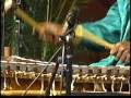 Griot Musical Tradition, Lansana Kouyate