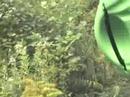videos kayak