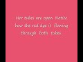Open Fallopian Tubes