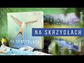 Na Skrzydłach - gra planszowa