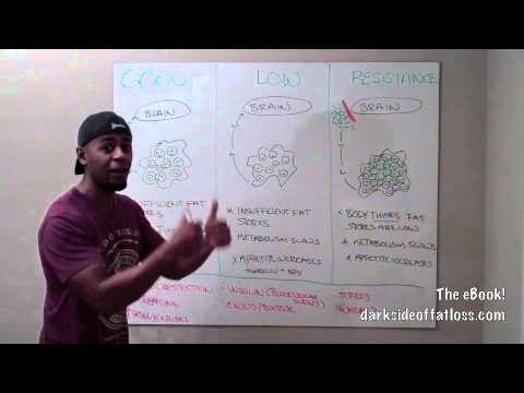 Fat Loss - Sign Up for The Underground Newsletter - http://www.yowhatsupyall.com Leptin: Fat Loss for Smart People! Sean discusses fat loss, leptin, and insulin, and wh...