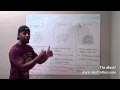 Leptin: Fat Loss for Smart People!