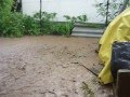 Click to View : Égi áldás földi valóság