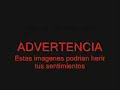 animales maltratados