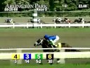 ARLINGTON PARK, 2008-08-20, Race 5