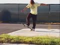 pro skaters pro skaters