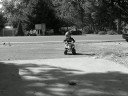 Cookie getting sand blasted by wind
