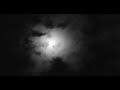 WEREWOLF WEREWOLVES HORROR KILL BLOOD MOON TERROR FullMoon