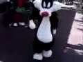 Sylvestor crip walking Sylvestor crip walking
