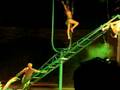 videos de Circo Aquatico Barcelona