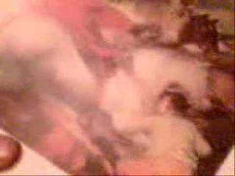 Video de Passionale de Babasónicos