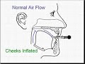 Circular Breathing 1a, by Terry B. Ewell