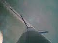 Rocket Video