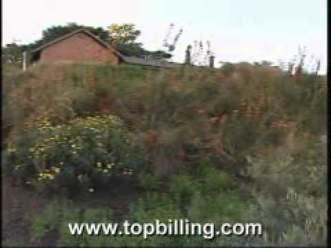 Top Billing interviews Garden Guru Tanya Visser