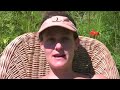 raw food pregnancy