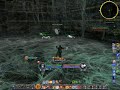Spider Nest full pull level 65 Rune-keeper - Lord of the Rings Online