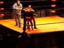 APW @ Campo Pequeno (Divas) APW @ Campo Pequeno (Divas)